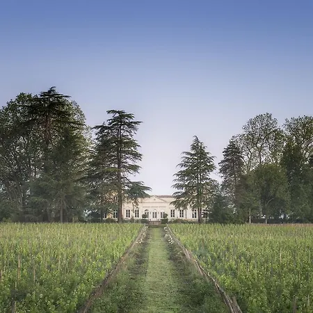 Couette-café Château Le Pape Léognan
