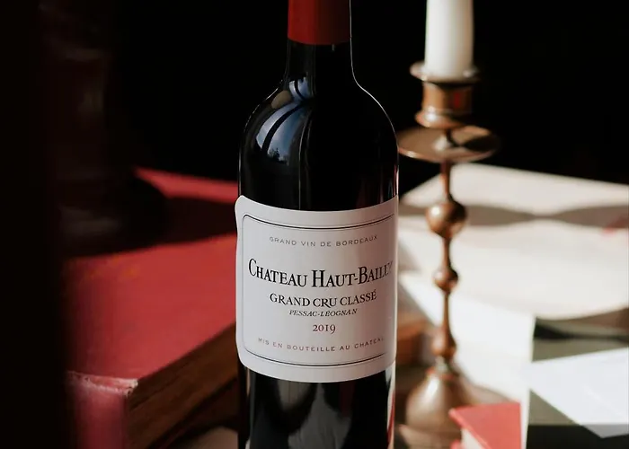 La Chartreuse Haut-bailly - Anciennement Chateau Le Pape 4* Léognan