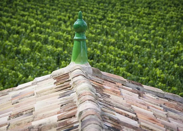 La Chartreuse Haut-bailly - Anciennement Chateau Le Pape 4*