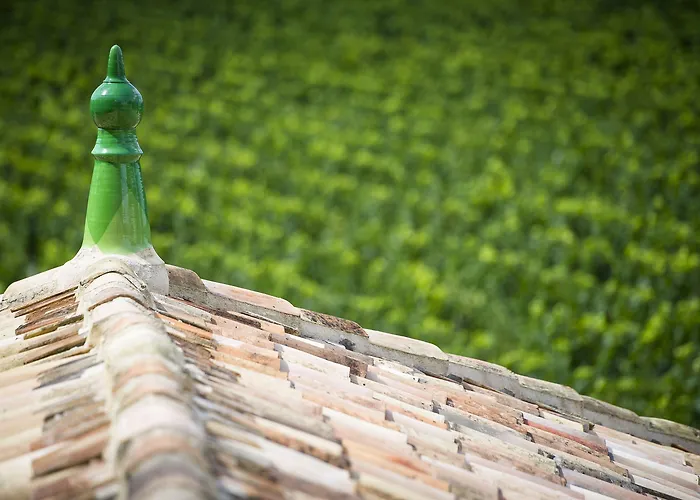 La Chartreuse Haut-bailly - Anciennement Chateau Le Pape 4*