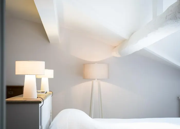 Bed & Breakfast La Chartreuse Haut-bailly - Anciennement Chateau Le Pape